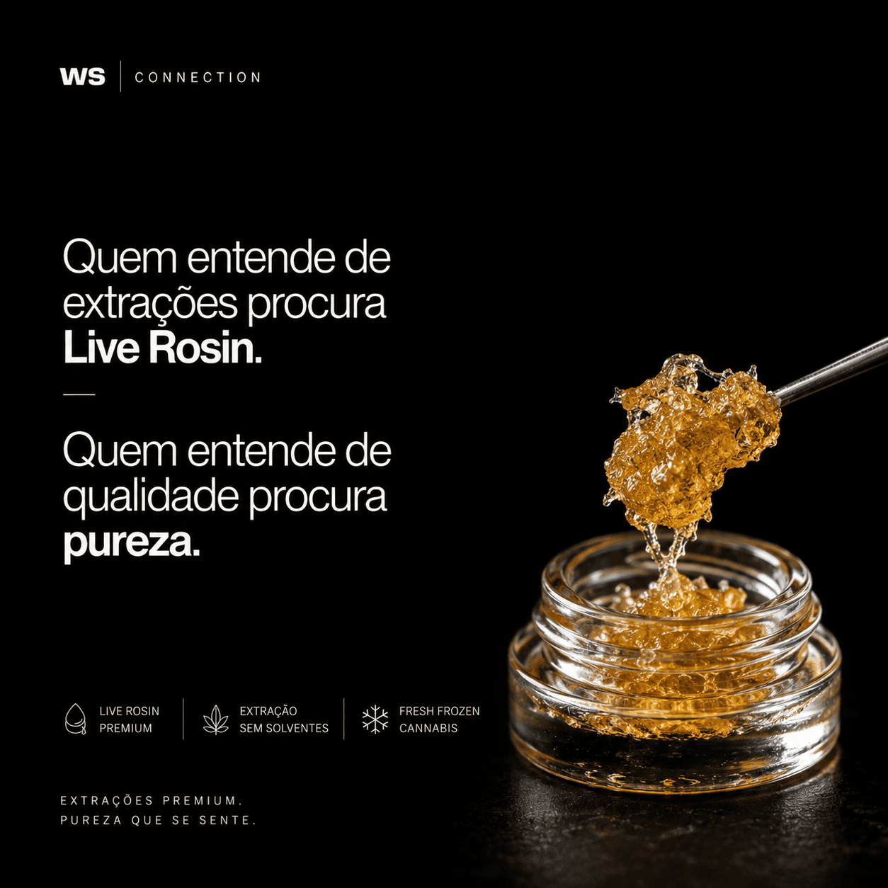 infobr-ws
