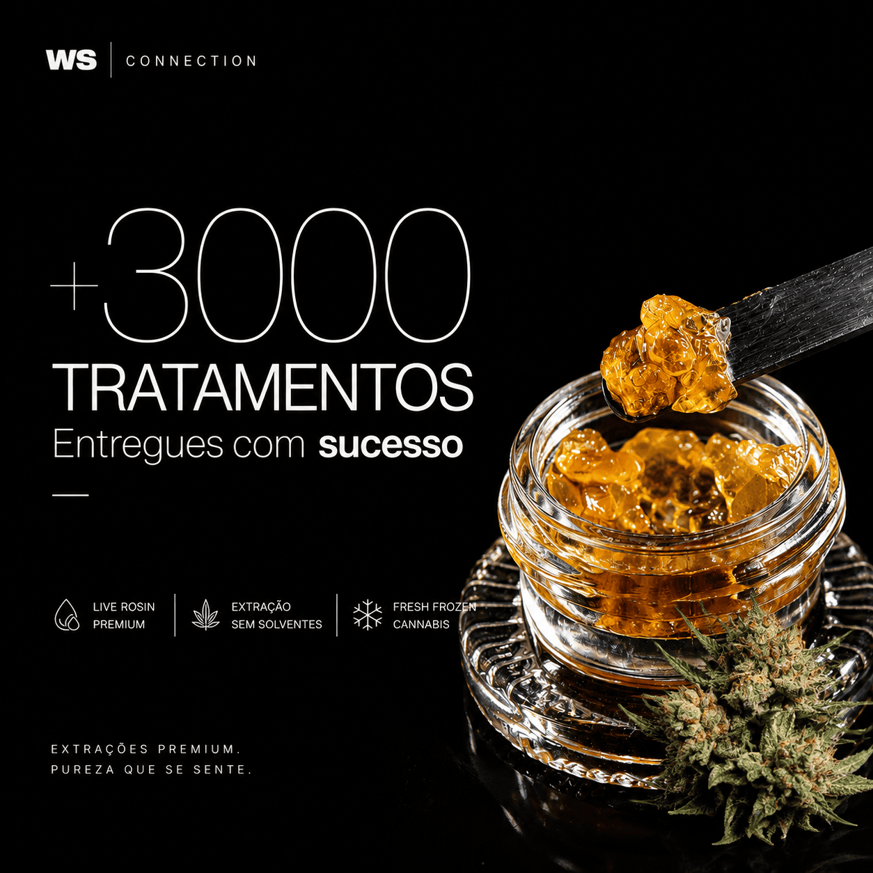 sucess-ws